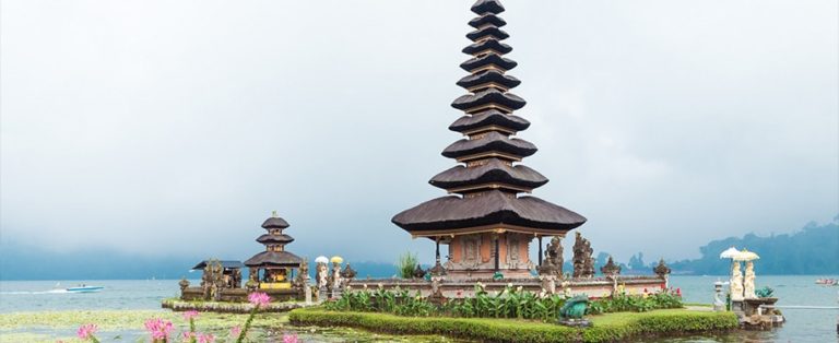 bali-min